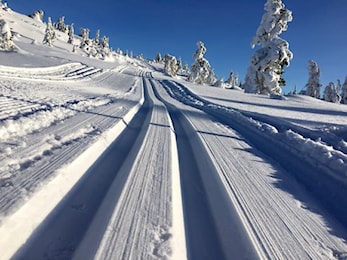 Vinterferie for Allidrett og Innebandy